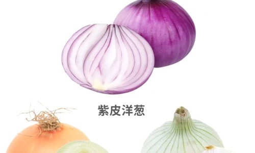 不同头孢的作用与功效一样吗、所有头孢效果都一样吗 -有很多种不同功效的头孢吗网
